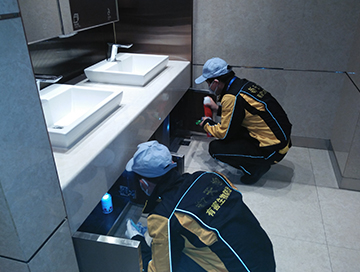 衛(wèi)生間滅蟑螂